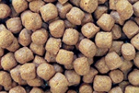 Profi -Futter ORANGE  Alleinfuttermittel für Koi 6 mm 15 kg