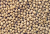 Profi -Futter Wheat-Germ  Alleinfuttermittel fr Koi 3 mm 15 kg