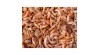 KOI-Shrimps  5 Liter Eimer